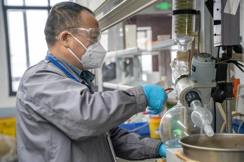 扎根幕后，奉獻(xiàn)最好技術(shù)服務(wù)——家校企社在地光芒行之工會(huì)站紀(jì)實(shí)